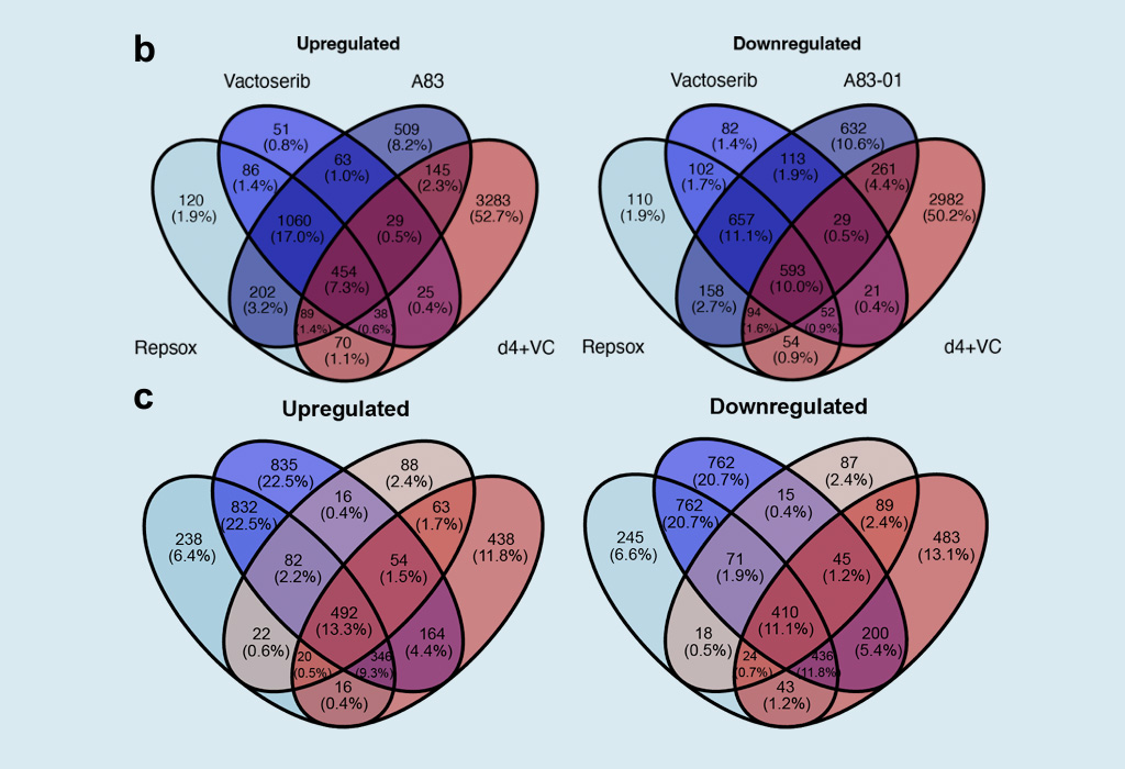 Initiation phase cellular reprogramming ameliorates DNA damage in the ERCC1 mouse model of premature aging